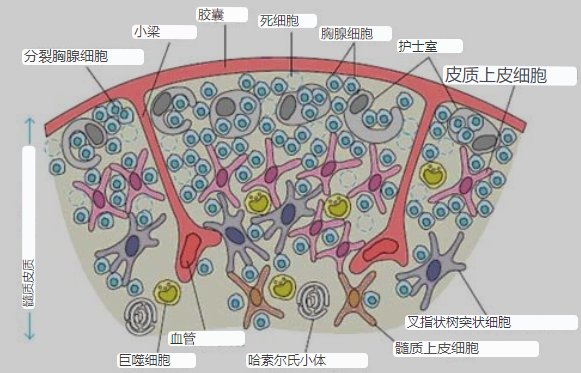 微信截圖_20221009172203